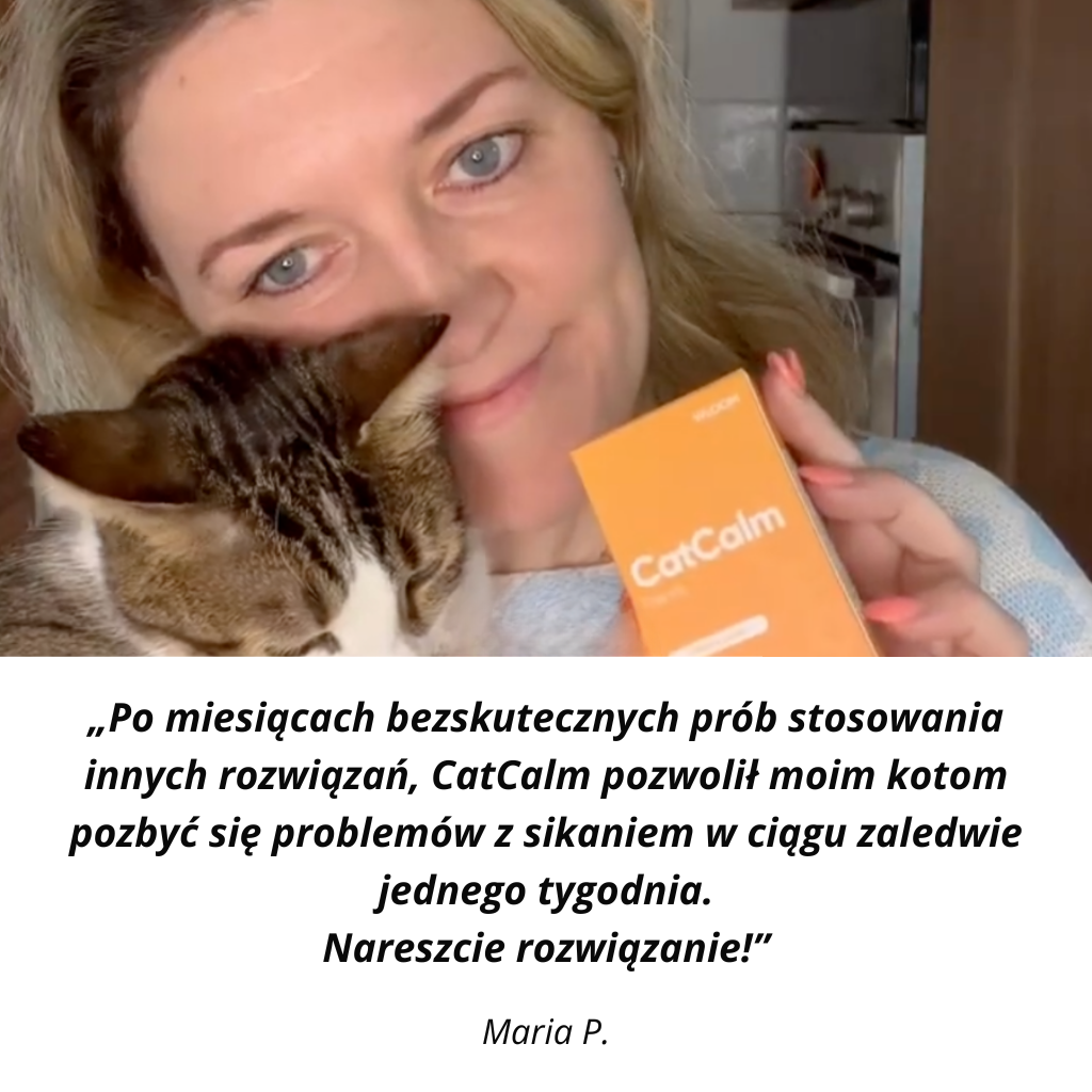 CatCalm - Clean Cat